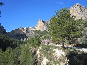 Aufstiegsweg zum Castellet und Font del Pi